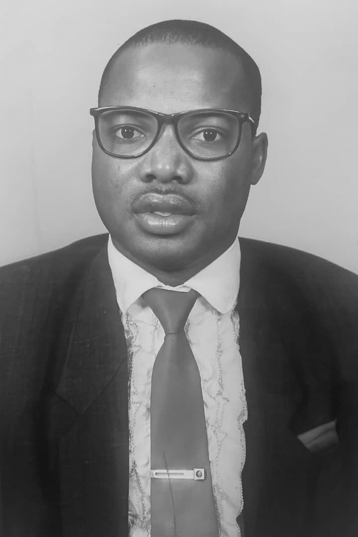 You are currently viewing THE MAN AKIN OLUWADARE